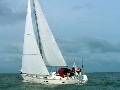 Beneteau Oceanis Clipper 361