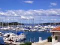 Boats at the marina